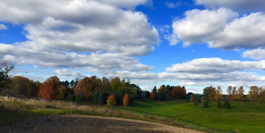 Rolling autumn hills and treeline under a big sky at Sherwood Farm